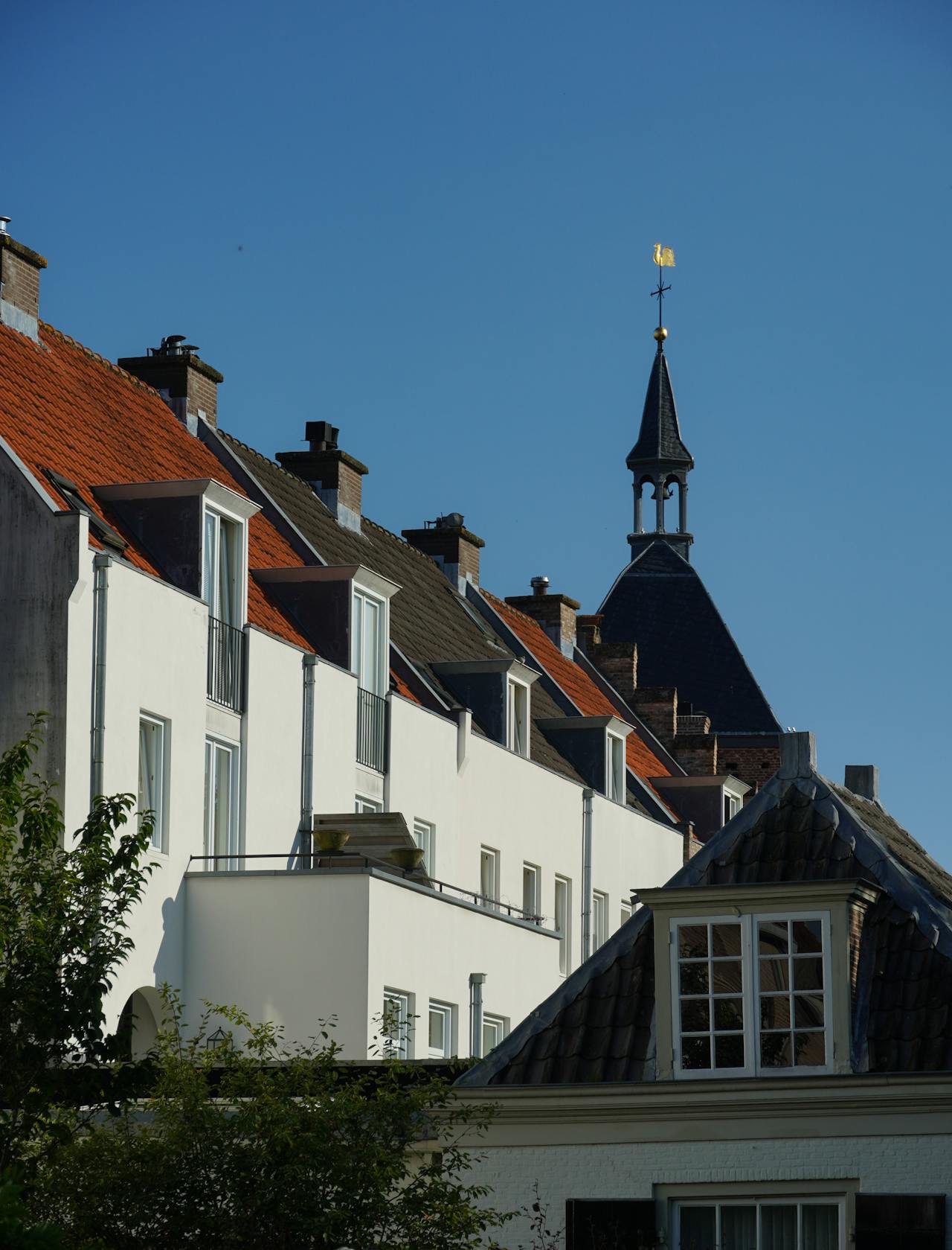 Je gevel en balkon vogelvrij houden? Ontdek de oplossingen