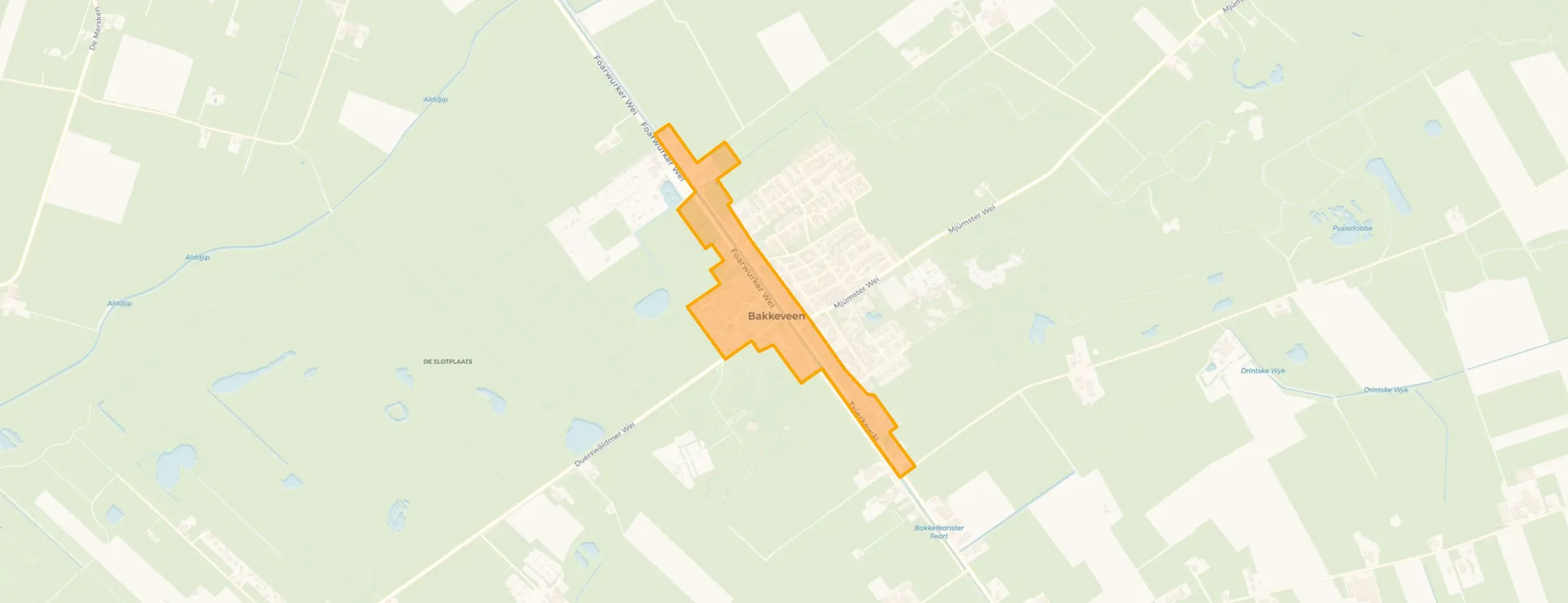 Buurt Bakkeveen-Centrum, Bakkeveen