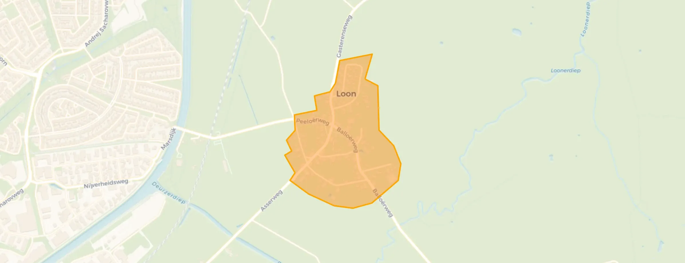 Loon