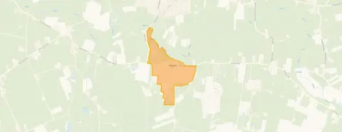 Buurt IJhorst, Ijhorst