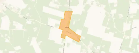 Buurt Toldijk, Toldijk