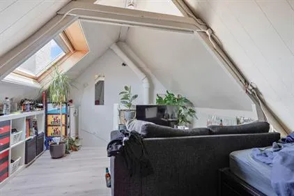 Room for rent: Aartshertogenlaan, Graafsebuurt noord 'S-Hertogenbosch
