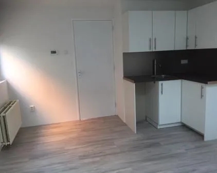 Kamer te huur: Adelaarstraat, Badhoevedorp Zuid Badhoevedorp
