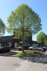 Woning te huur: Albrecht Dürerweg, Tussen de Vaarten Z.- Zuidoost Almere