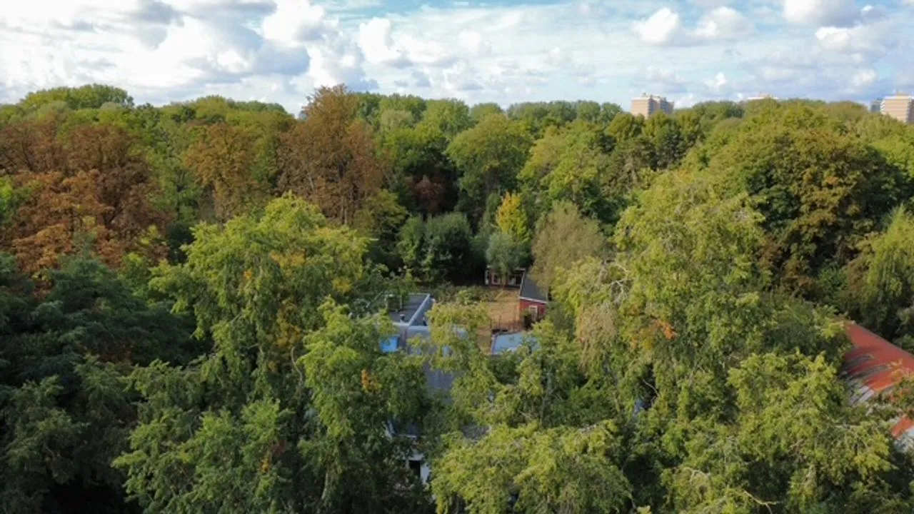 Vrijstaande woning te koop: Amsteldijk 316, Amsterdam
