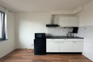 Woning te huur: Amsterdamsestraatweg, Egelantierstraat, Mariëndaalstraat e.o. Utrecht