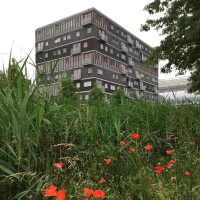Appartement te koop: Anna Blamansingel 4, Venserpolder-West Amsterdam