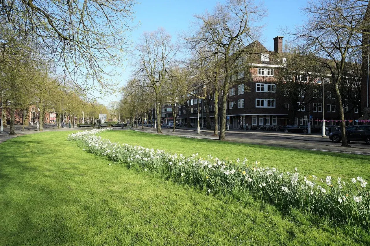Appartement te huur: Apollolaan, Amsterdam