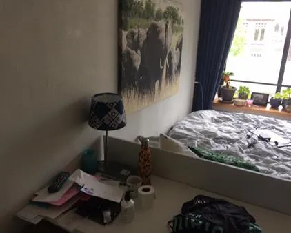 Kamer te huur: Arthur van Schendelstraat, Hooch Boulandt Utrecht