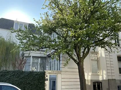 Kamer te huur: Balistraat, Archipelbuurt 'S-Gravenhage