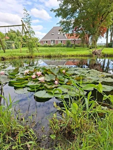 Vrijstaande woning te koop: Bandsloot 25, Bantega Bantega