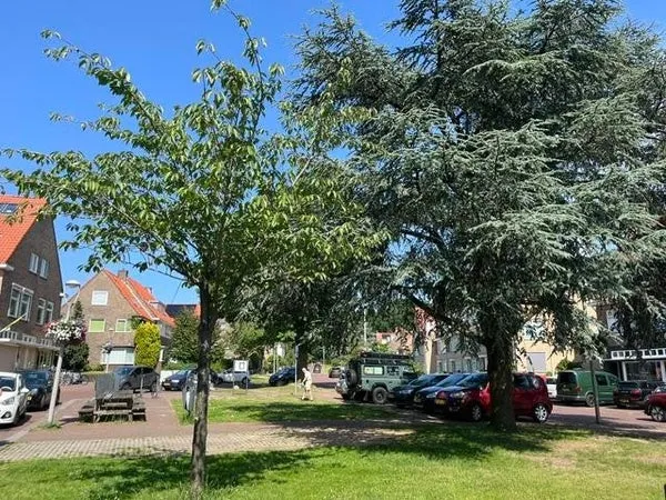 Home for rent: Beethovenlaan, Alteveer/Cranevelt Arnhem