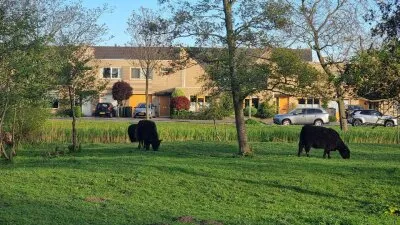 Tussenwoning te koop: Belgiëpark 6, Evenaar-West Alphen Aan Den Rijn