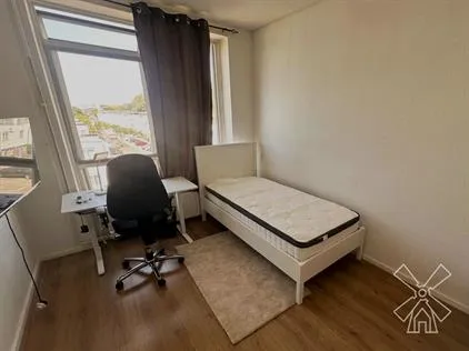 Room for rent: Beresteinlaan, Dreven en Gaarden 'S-Gravenhage