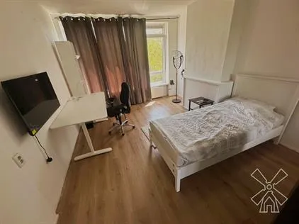 Room for rent: Beresteinlaan, Dreven en Gaarden 'S-Gravenhage