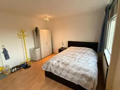 Room for rent: Bergfluiter, Doorslag-Noord Nieuwegein
