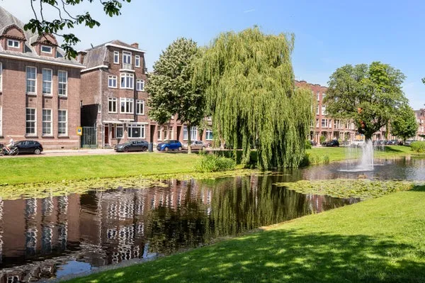 Home for rent: Bergsingel, Liskwartier Rotterdam