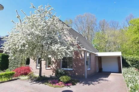 Vrijstaande woning te koop: Berkenlaan 25, Westerlee Westerlee
