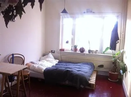 Kamer te huur: Berliozlaan, Blaarthem Eindhoven