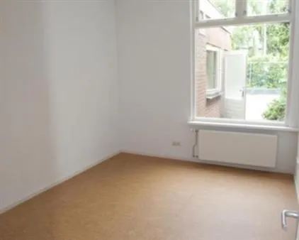 Kamer te huur: Bevrijdingsstraat, Veluvia Wageningen
