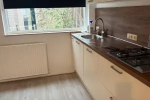Woning te huur: Biezenstraat, Bornsestraat Midden-Riet Noord Almelo