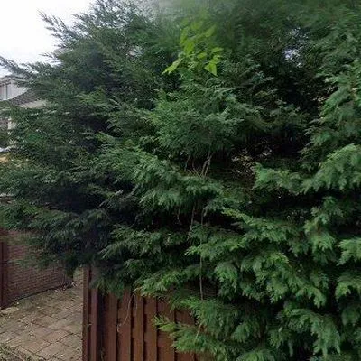 Huurwoning: Bizetstraat in Delft - €2.950 per maand