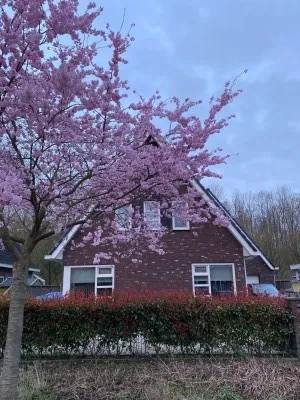 Vrijstaande woning te koop: Bloemenzoom 129, Bloemenbuurt Swifterbant