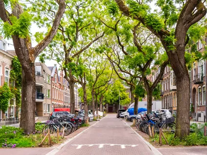 Appartement te koop: Blommersdijkselaan 38A, Oude Noorden Rotterdam