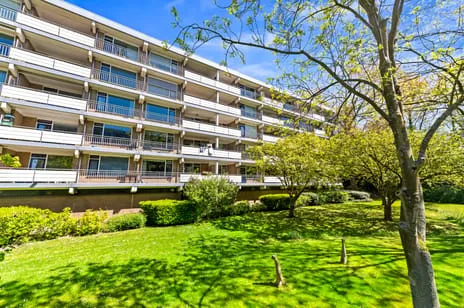 Studio te koop: Boerhaavelaan 223, Houtkwartier Leiden