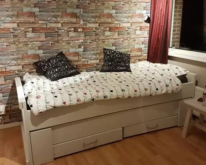 Kamer te huur: Boeroestraat, Indische Buurt-Zuid Delft