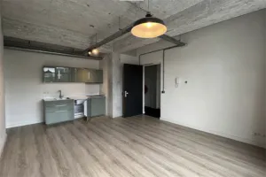 Home for rent: Boezemsingel, Oud Crooswijk Rotterdam