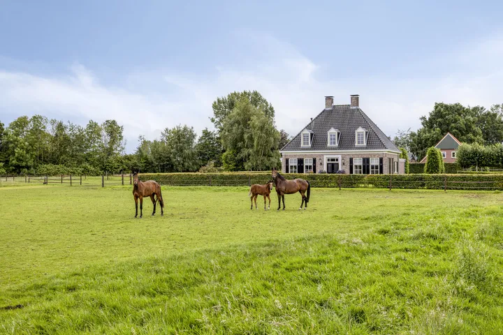 Koopwoning: Bollenweg 5 in Ambt Delden - €939.000 - 246m²