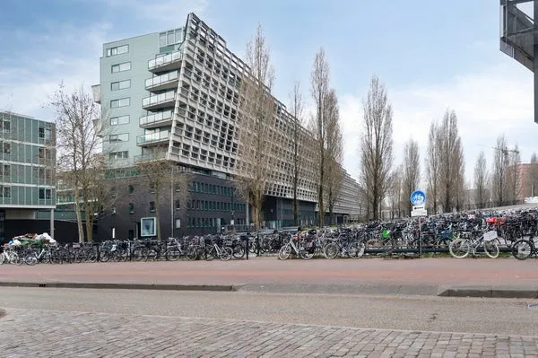 Woning te huur: Borneolaan, Amsterdam