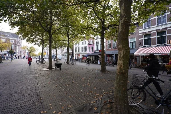 Woning te huur: Brabantse Turfmarkt, Centrum Delft