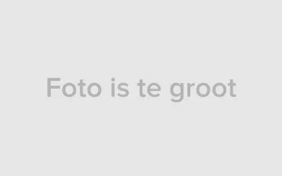 Twee-onder-één-kap te koop: Brederoodseweg 79, Neethofbuurt Santpoort-Zuid