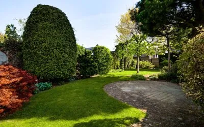 Twee-onder-één-kap te koop: Bredeweg 84, Nederweert Nederweert