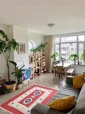 Room for rent: Brussestraat, Rubroek Rotterdam