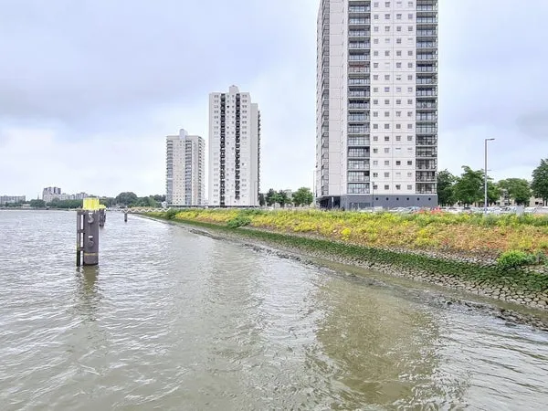 Woning te huur: Buitenbassinweg, De Esch Rotterdam