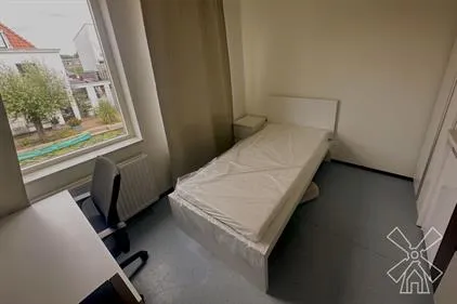 Room for rent: Buitenwatersloot, Olofsbuurt Delft