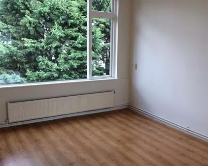 Room for rent: Buizerdstraat, Carnisse Rotterdam