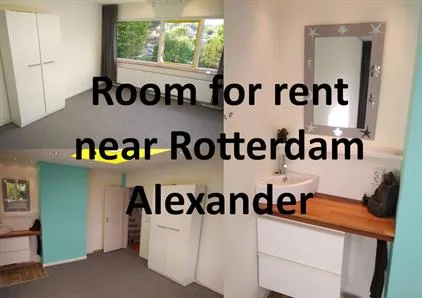 Kamer te huur: Burg Vogelaarsingel, Dorrestein-Noord Nieuwerkerk Aan Den Ijssel