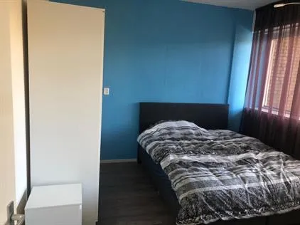Room for rent: Burgemeester Hogguerstraat, Noordoever Sloterplas Amsterdam