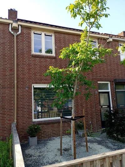 Tussenwoning te koop: Burgemeester Ploegmakerslaan 61, Vlashoek Oss