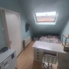 Kamer te huur: Burgemeester van der Werffstraat, Geuzenkwartier 'S-Gravenhage