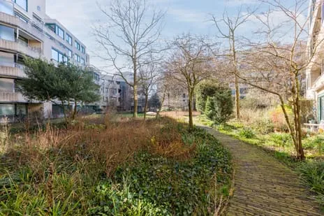 Appartement te koop: Burgemeester Patijnlaan 802, 'S-Gravenhage
