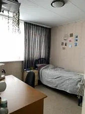 Kamer te huur: Camminghalaan, Bunnik Bunnik