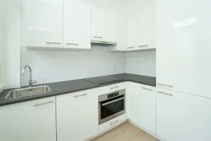 Home for rent: Celsiusstraat, Valkenboskwartier 'S-Gravenhage