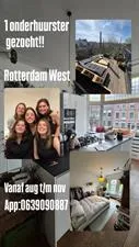 Kamer te huur: Claes de Vrieselaan, Middelland Rotterdam