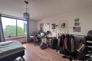 Kamer te huur: Clavecymbelstraat, Caberg Maastricht