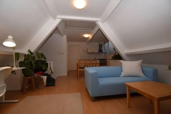 Woning te koop: Copernicusstraat, Valkenboskwartier 'S-Gravenhage